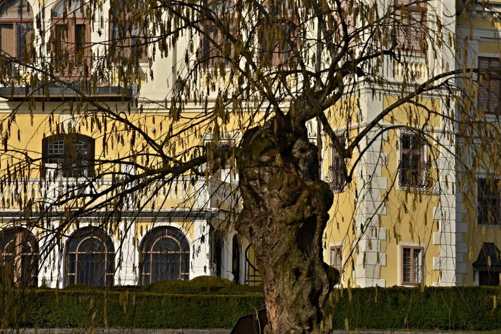 Penzion Pri Kastieli Betliar Buitenkant foto